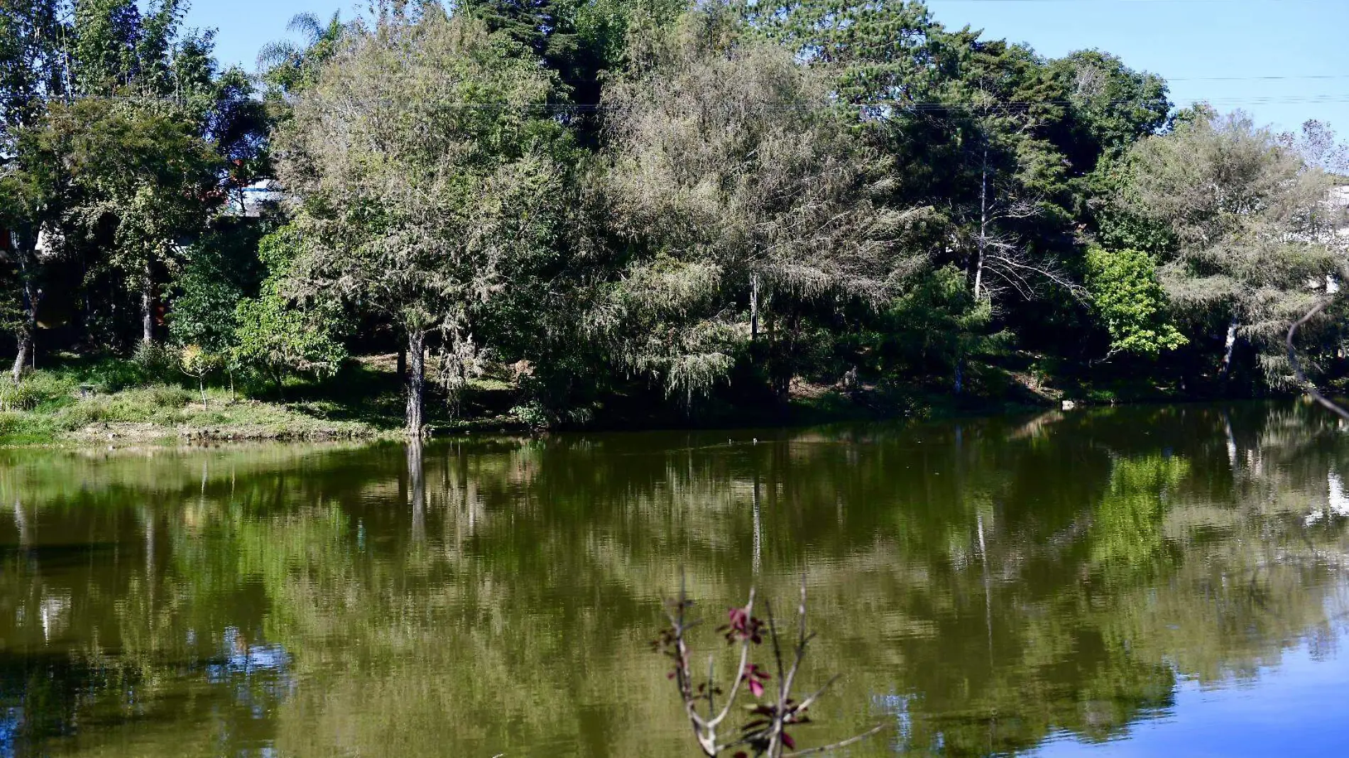 Laguna de Casa Blanca requiere atención integral